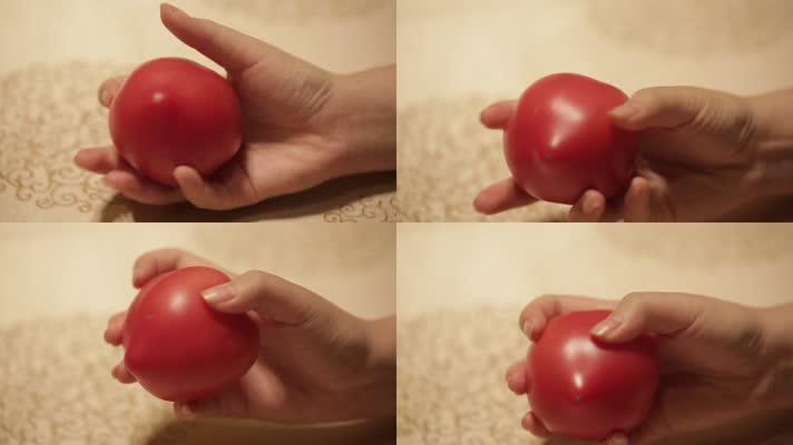 番茄西红柿 (5)