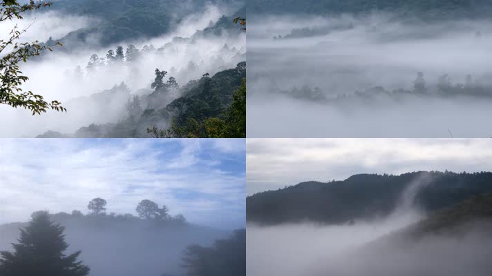 山间晨雾云雾雾气流云，烟雾缭绕自然生态