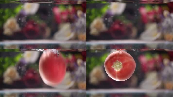 水下西红柿漂浮 (2)