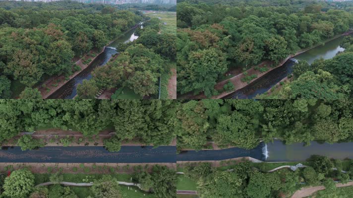 深圳河道视频污水处理后清澈的河水