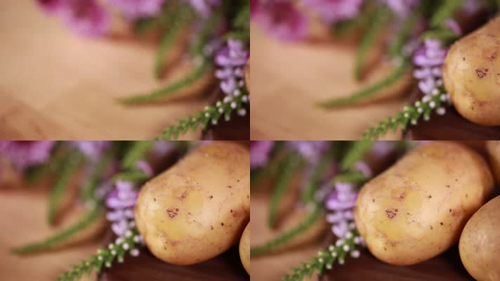 中景马铃薯土豆 (2)