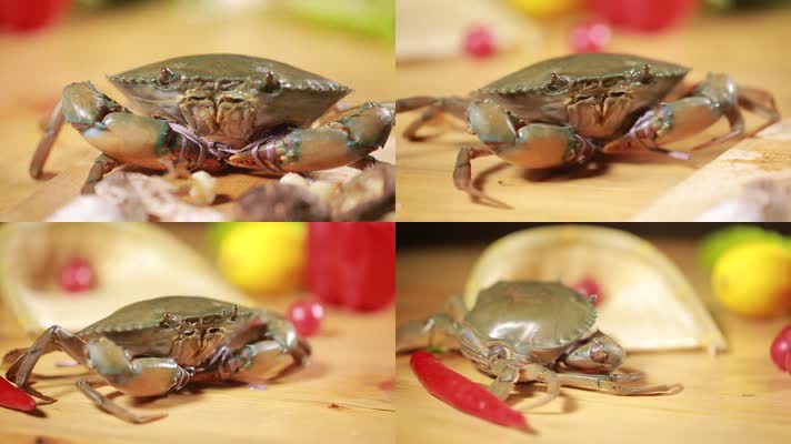 特写海鲜螃蟹 (1)