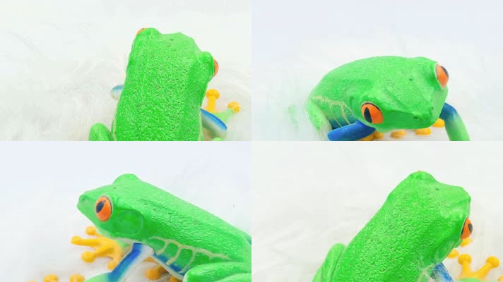 树蛙青蛙模型玩具 (5)