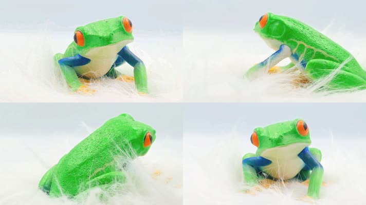 树蛙青蛙模型玩具 (2)