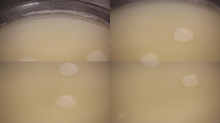 高汤浓汤鱼汤奶白膏汤 (4)