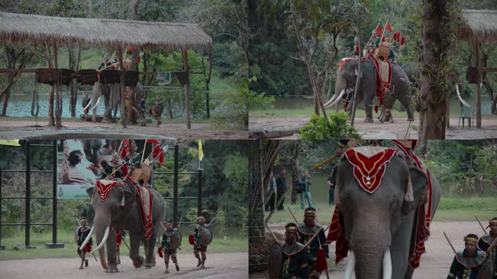 泰国旅游视频泰国大象园大象表演