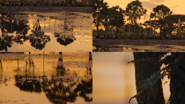 夕阳黄昏视频泰国夕阳下的池塘倒影