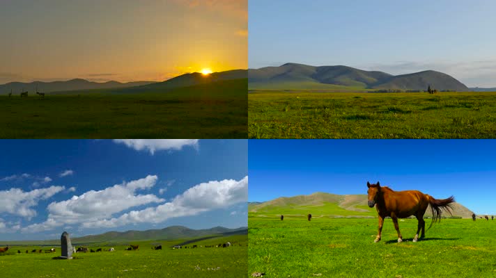 草原蒙古牧民生活草原文化 游牧文明壮美