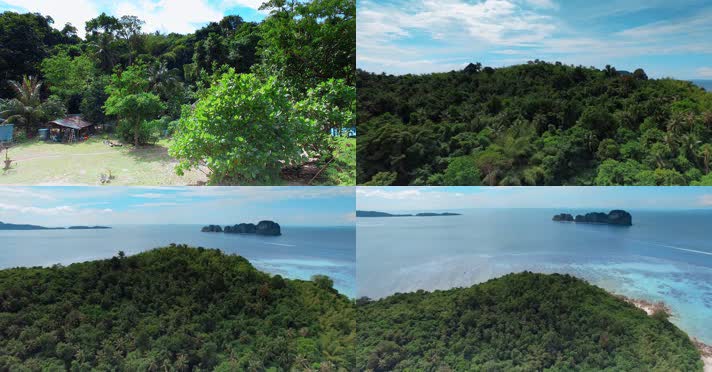 泰国旅游视频泰国普吉岛pp岛上森林植被