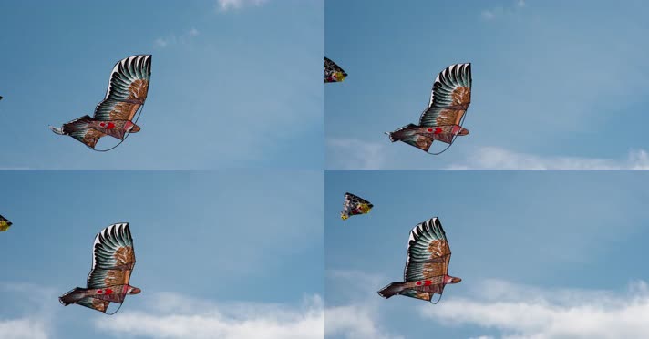 一只在蓝天中飞翔的老鹰形状的风筝