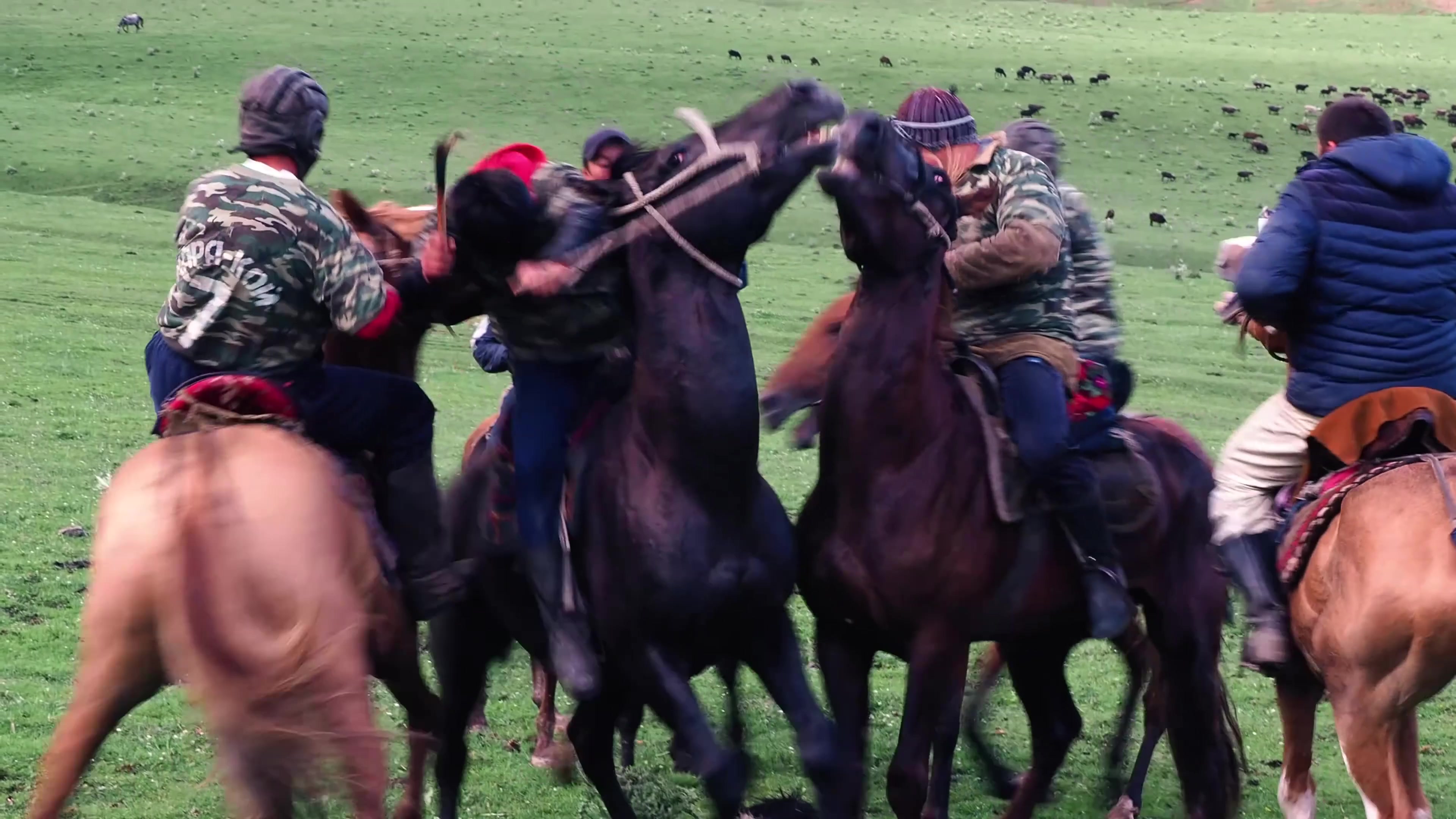 哈萨克族赛马-体育非物质文化遗产