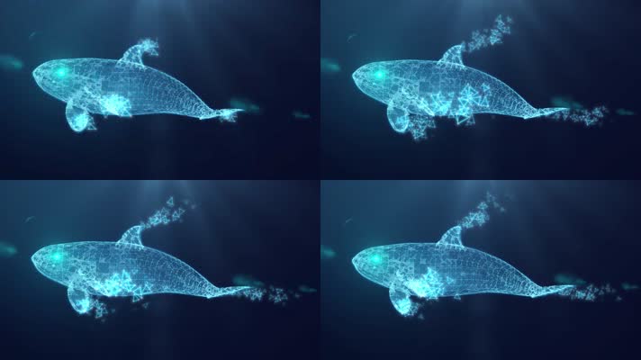 科技感网格粒子鲸鱼