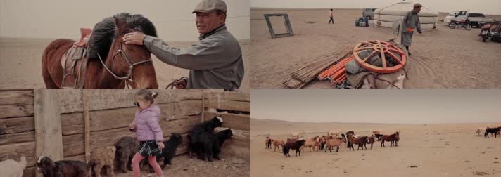 骆驼放牧，游牧民族，草原民族，生活民俗