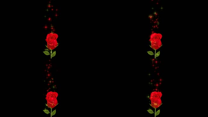 唯美浪漫红玫瑰-发光粒子