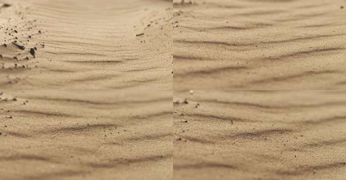 沙滩上沙丘的特写镜头，微风拂过