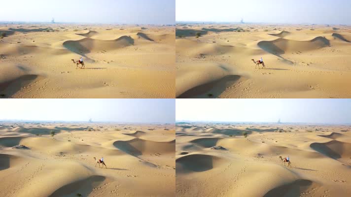 航拍沙漠中骑着骆驼的男人
