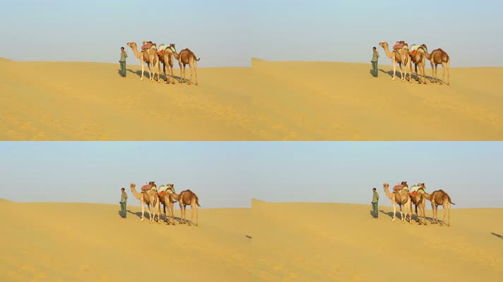 贝都因人与他的骆驼站在沙漠中