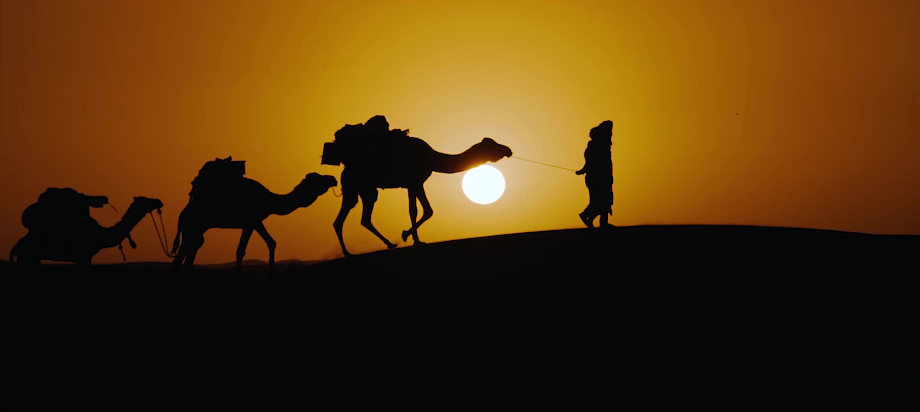 沙漠骆驼视频素材,延时摄影视频素材下载,高清3840X2160视频素材下载,凌点视频素材网,编号:392667