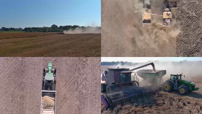 大豆收获机械化收割农业科技