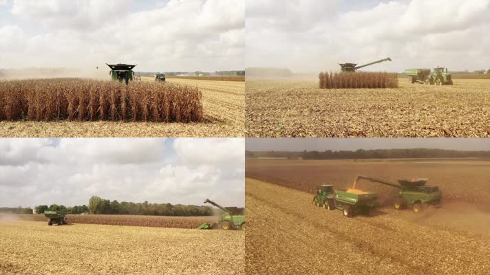 玉米收获季节农业机械科技