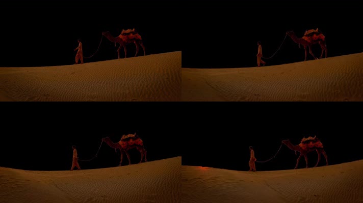 沙漠骆驼行走
