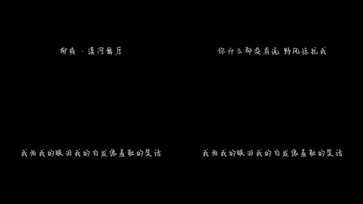 柳爽 - 漠河舞厅（1080P）