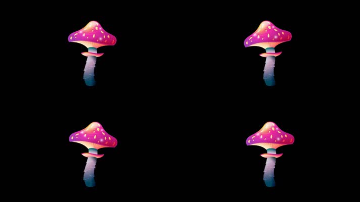 蘑菇群-11