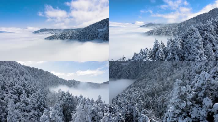 壮观雪山雪景森林北国风光云雾缭绕航拍宣传