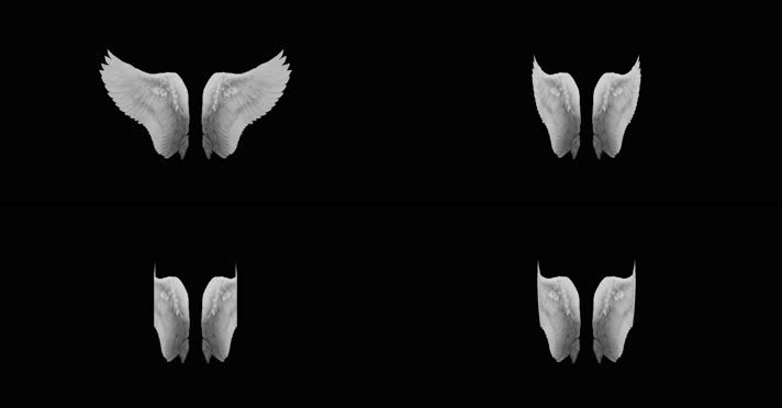 4K白色天使翅膀透明通道循环动画