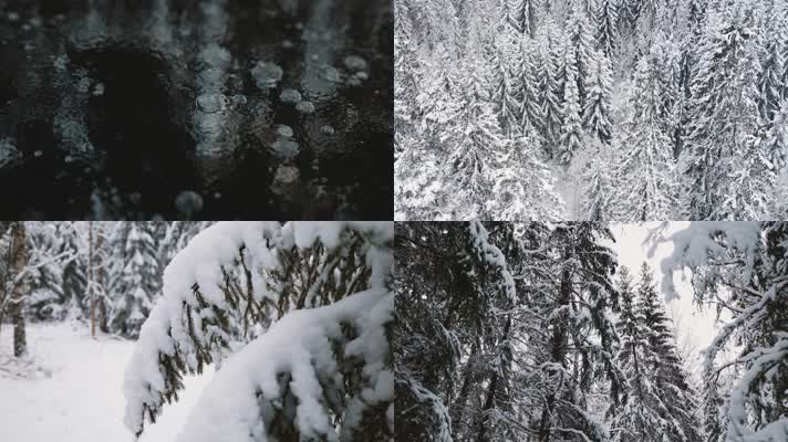 森林雪景结冰冰封世界雪景航拍特写