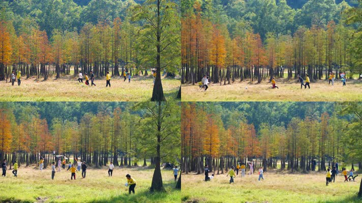 孩子们在秋天树林草地上踢球玩耍4k视频