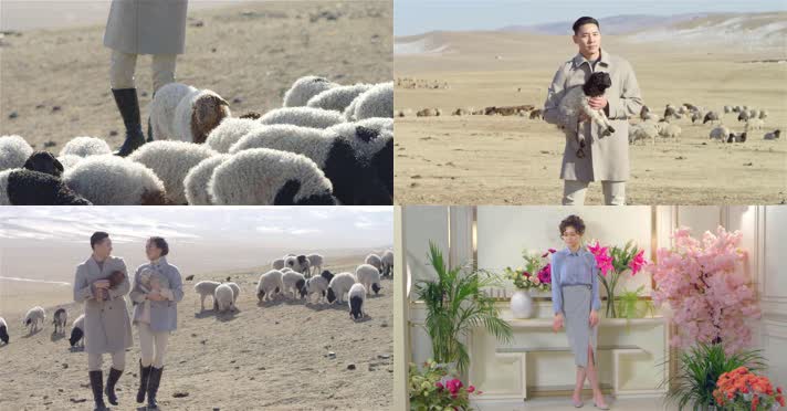 羊毛衣，草地绵羊，羊毛羊绒