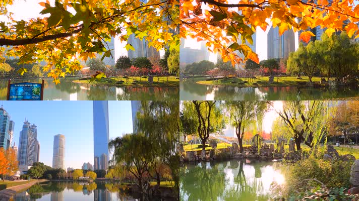 上海陆家嘴金融中心秋季城市美景