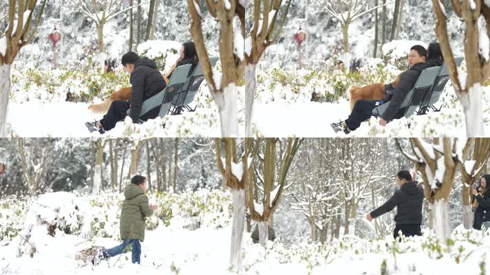 一家人雪地带着狗狗打雪仗