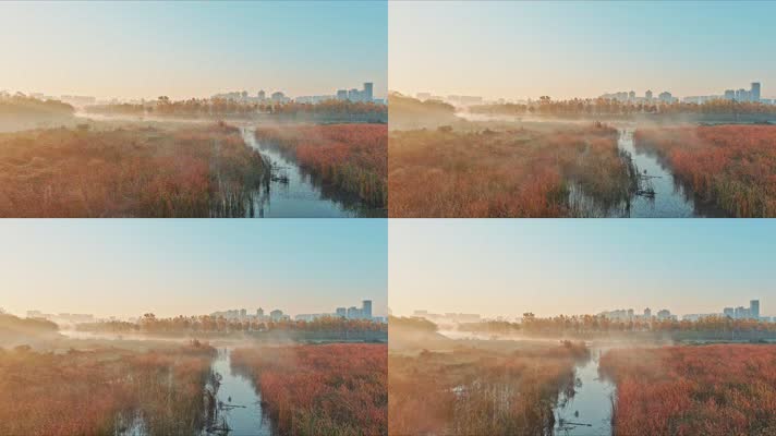 日出朝阳雾中城市湿地长沙洋湖湿地风光
