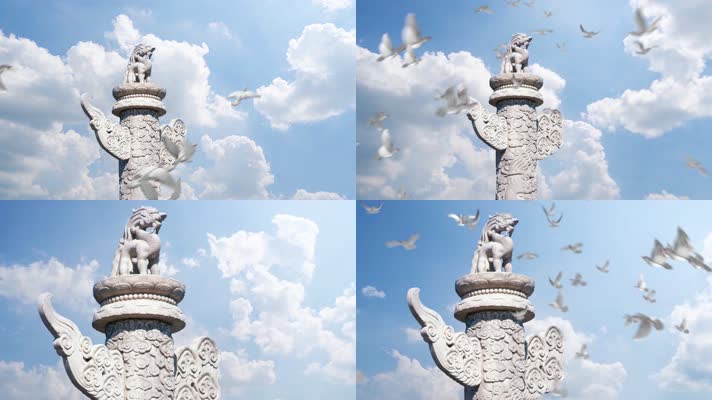鸽子飞过中华柱白鸽飞翔蓝天白云放飞梦想