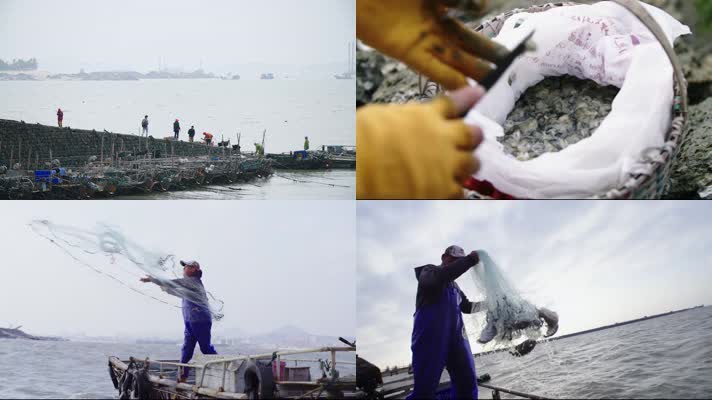 海边渔民捕鱼挖海蛎