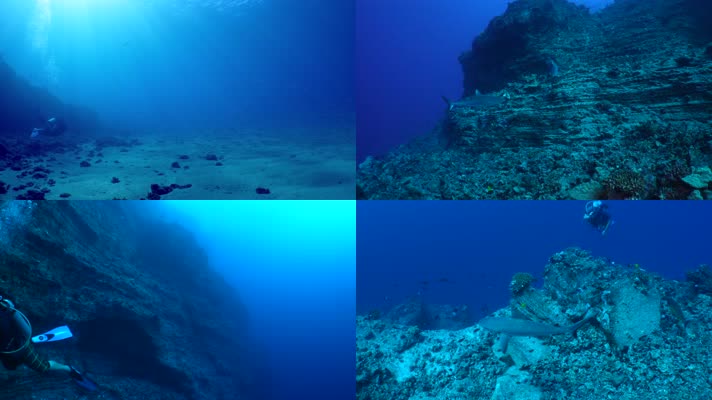 【4K】潜水员海底
