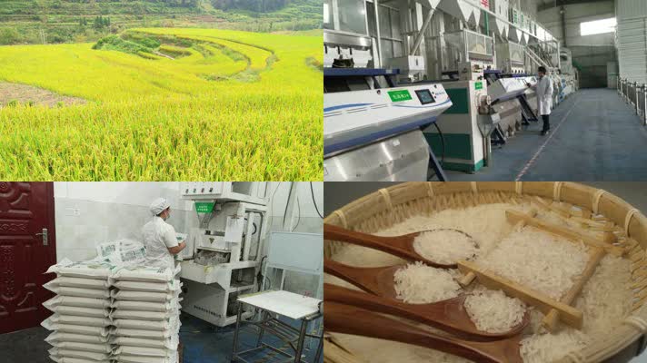 粮食生产、大米加工、稻谷、米、粮食