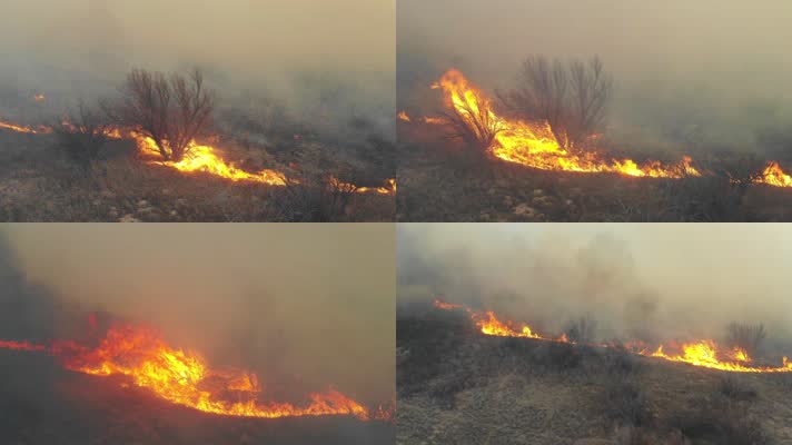 火烧山，森林火灾，森林大火