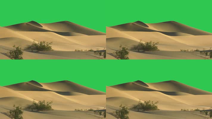 沙漠绿屏视频
