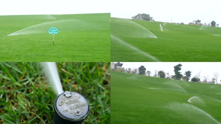 草坪自动灌溉
