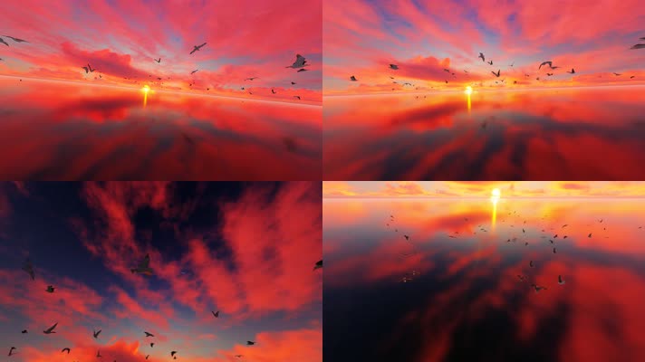 朝阳晨光中海面上飞翔的海鸥