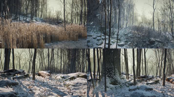 三维动画冬季森林雪景风光
