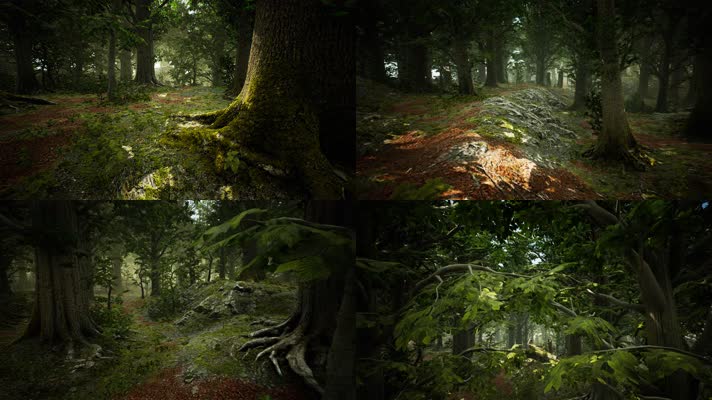 三维动画热带森林密林自然风光