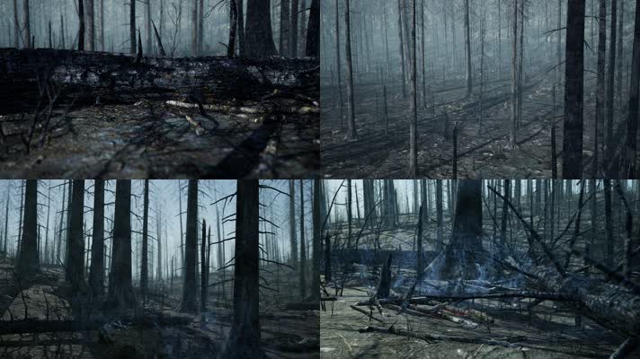 三维动画森林火灾后的废墟