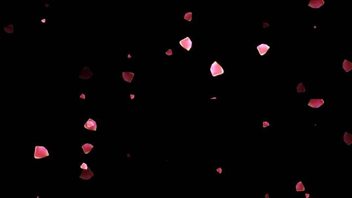 玫瑰花瓣快速闪烁动画