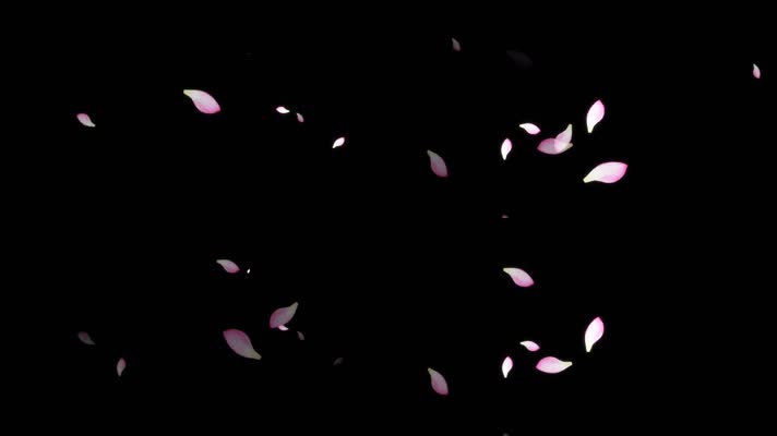 荷叶花瓣动态装饰元素视频