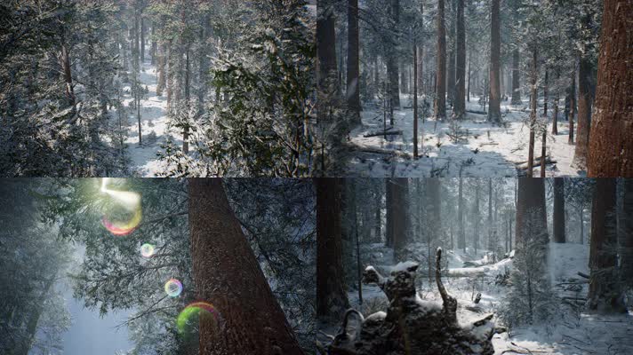 三维动画原始森林冬季林海雪原