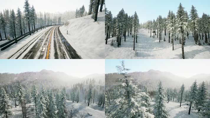 三维动画冬季原始森林雪景风光